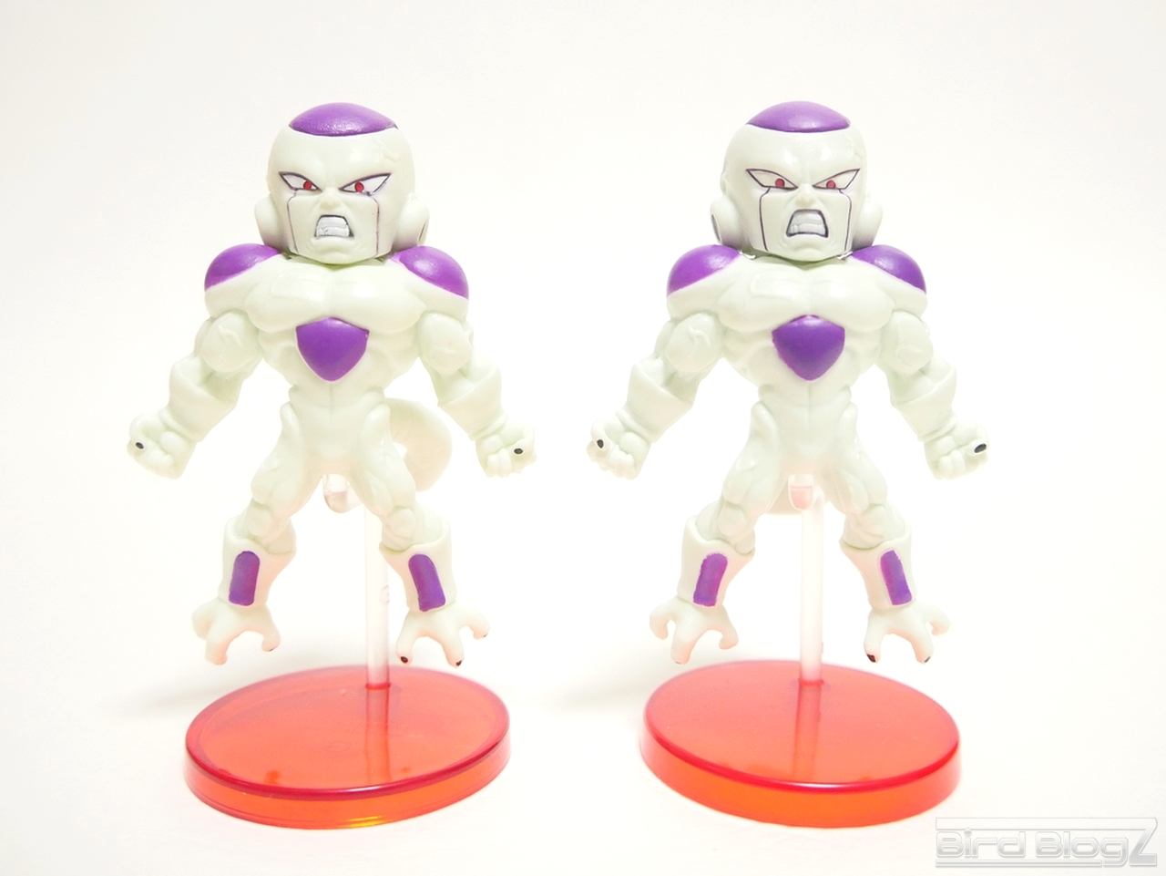 dbs_burst_114 | BirdBlog-Z