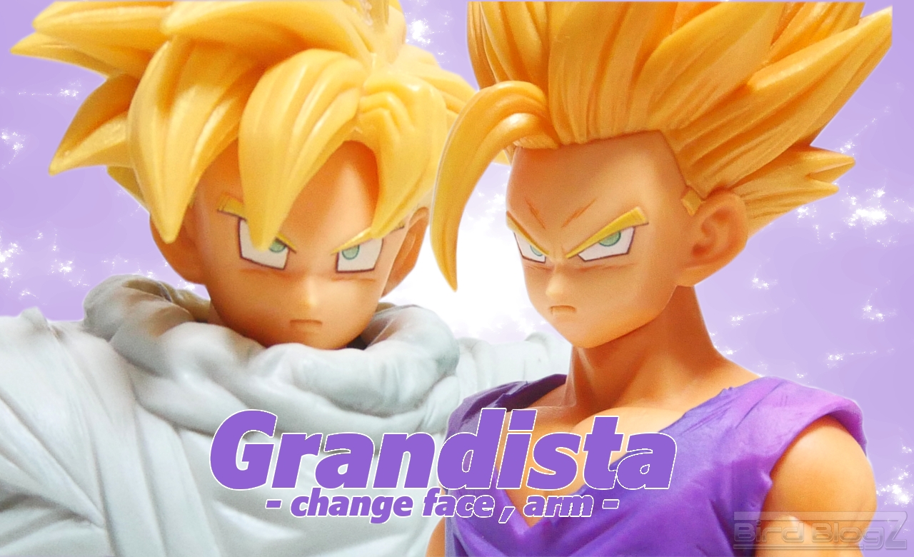 Grandista -Resolution of Soldiers- SON GOHAN | BirdBlog-Z