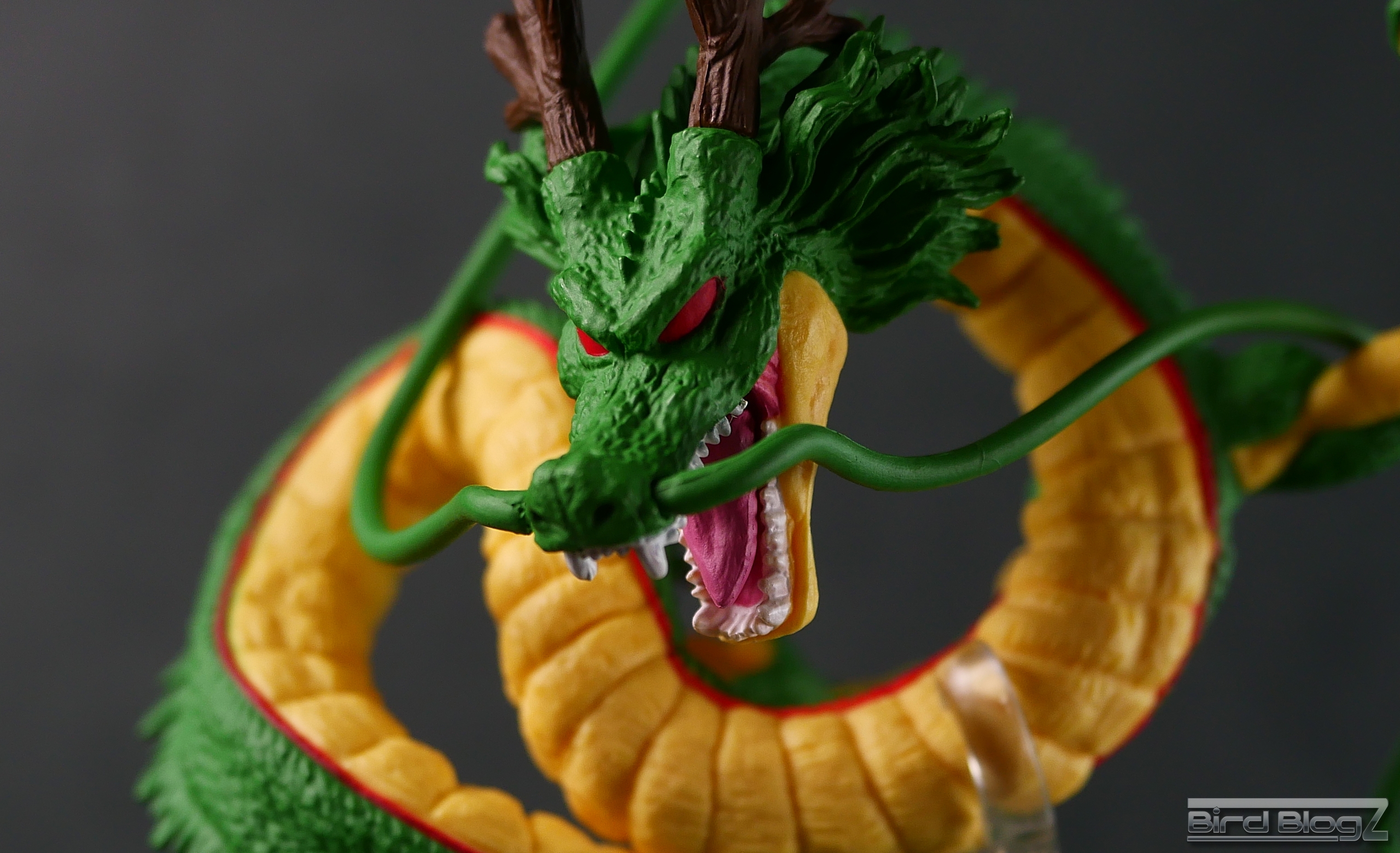 CREATOR×CREATOR 神龍 | BirdBlog-Z CREATOR×CREATOR 神龍 | BirdBlog-Z