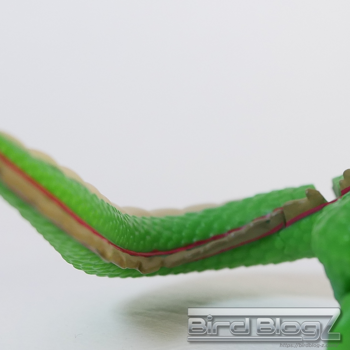 巻一 DRAGON BALL COMICS VIGNETTE 神龍 尻尾