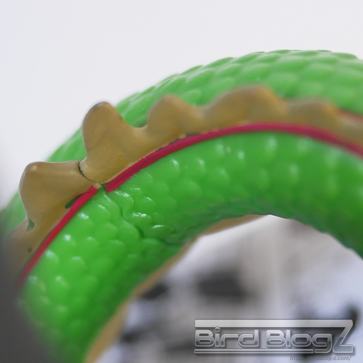 巻一 DRAGON BALL COMICS VIGNETTE 神龍 鱗