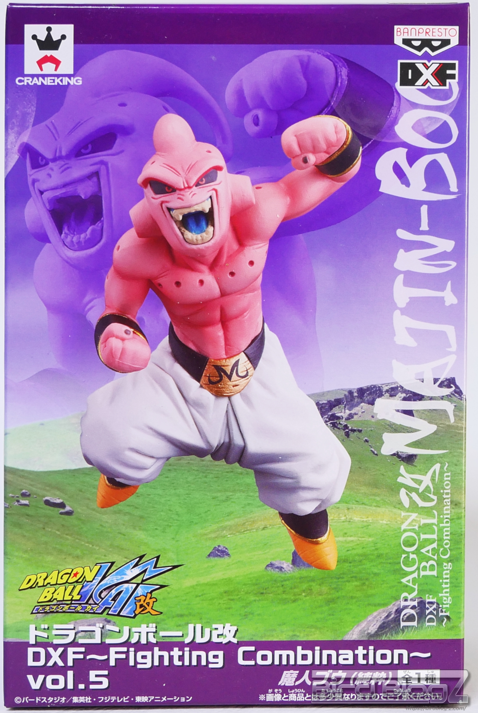 ドラゴンボール改 DXF Fighting Combination vol.5 パッケージ