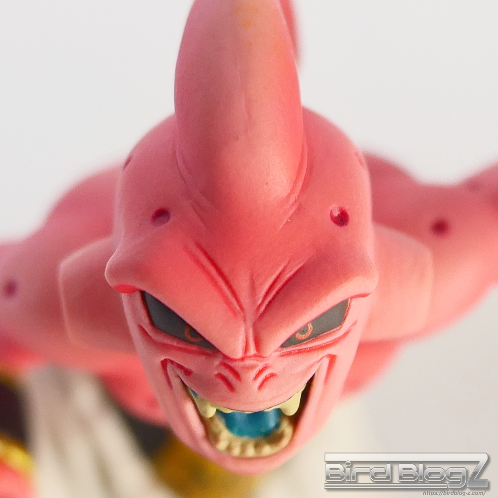 ドラゴンボール改 DXF Fighting Combination vol.5 横顔