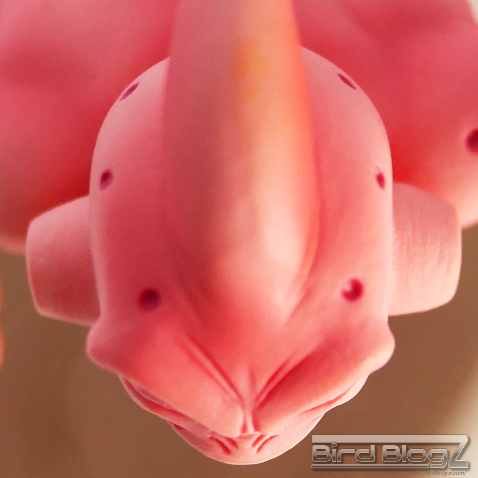 ドラゴンボール改 DXF Fighting Combination vol.5 頭部