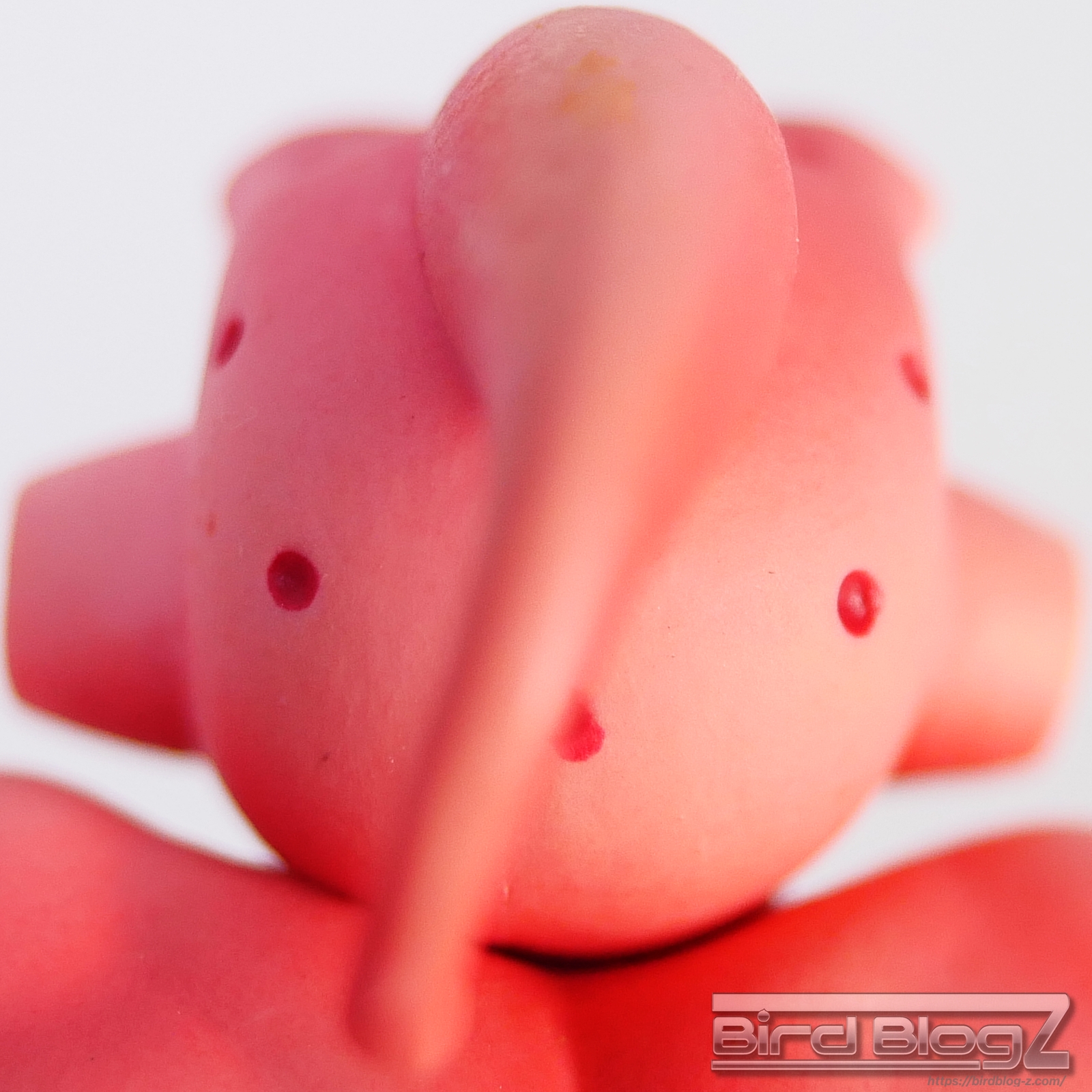 ドラゴンボール改 DXF Fighting Combination vol.5 後頭部