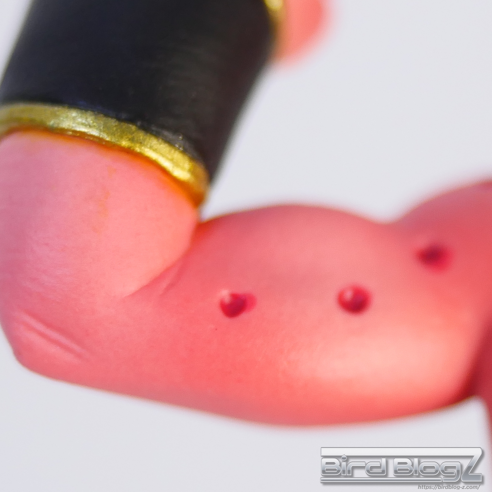 ドラゴンボール改 DXF Fighting Combination vol.5 腕