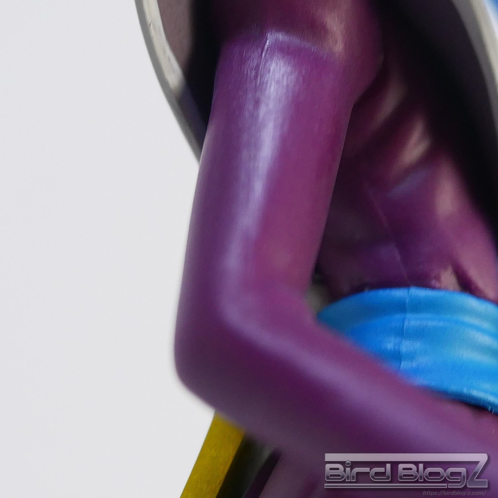 ドラゴンボールZ 劇場版DXFフィギュア vol.2 ウイス 腕